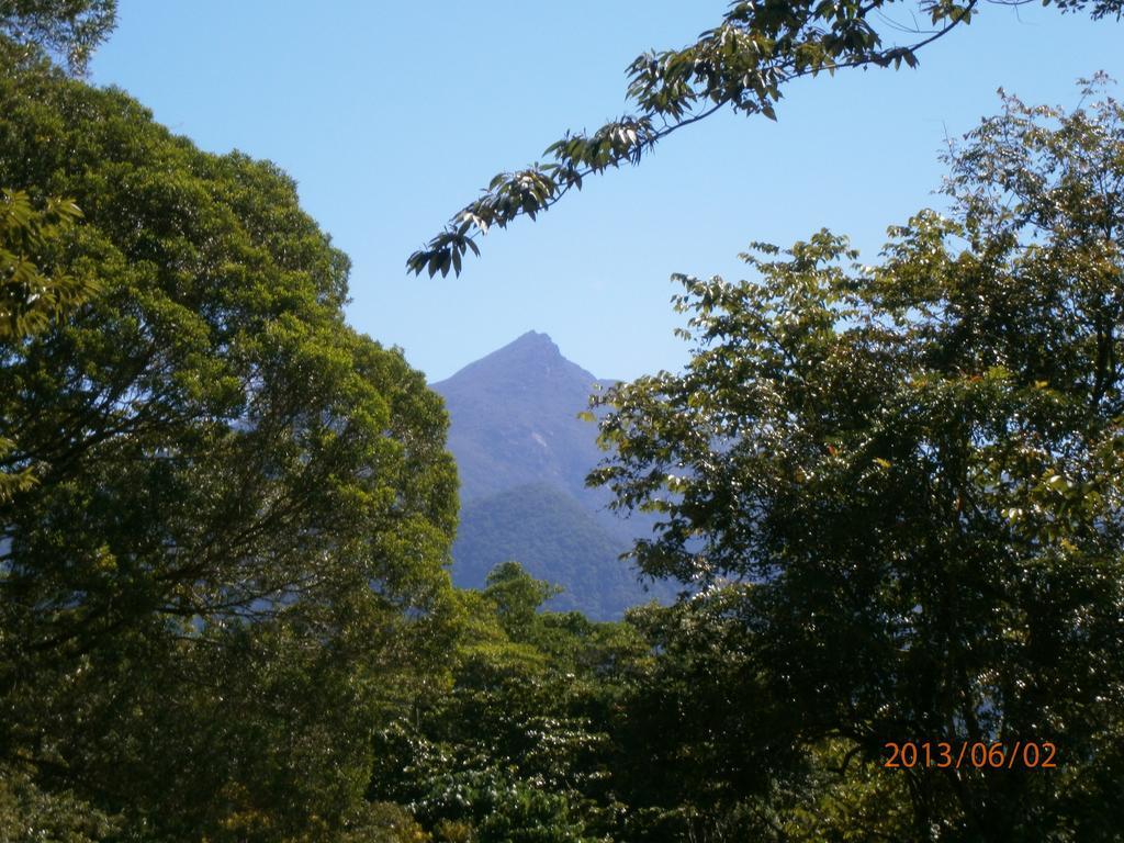 Thornton Beach Bungalows Daintree Cape Tribulation Exterior foto